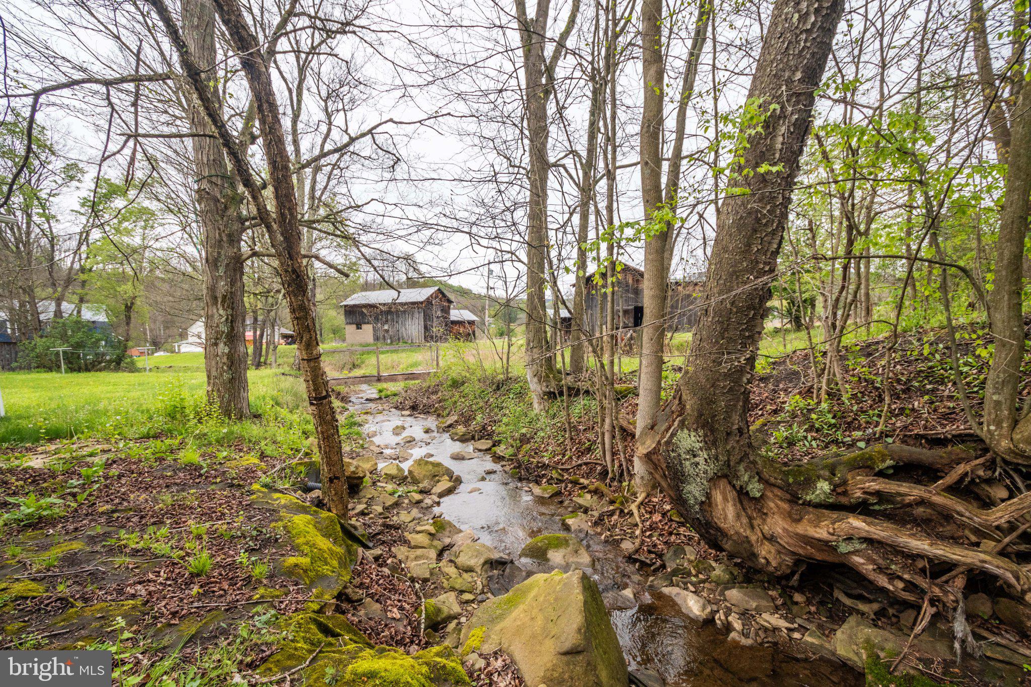 2165 Jennings Road Jennings, MD 21536 - Photo 7 of 23 Tranquil stream by rustic barns.