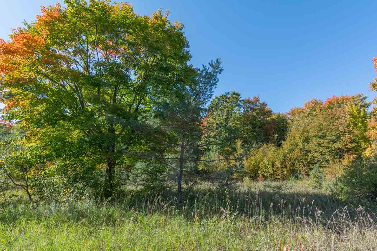 0 South Fritz Road, Unit LOT: B Maple City, MI 49664 - Photo 1 of 17 Gallery Image 1