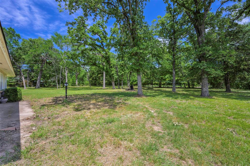 1113 West Will White Road Kemp, TX 75143 - Photo 20 of 22 a view of a park with tree s
