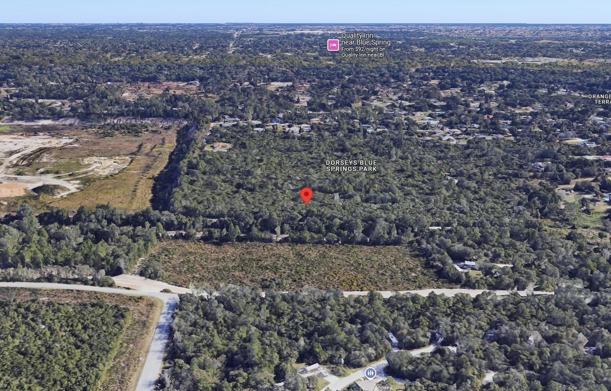 0 Riegel Paper Orange City, FL 32763 - Photo 6 of 9 Photo 6