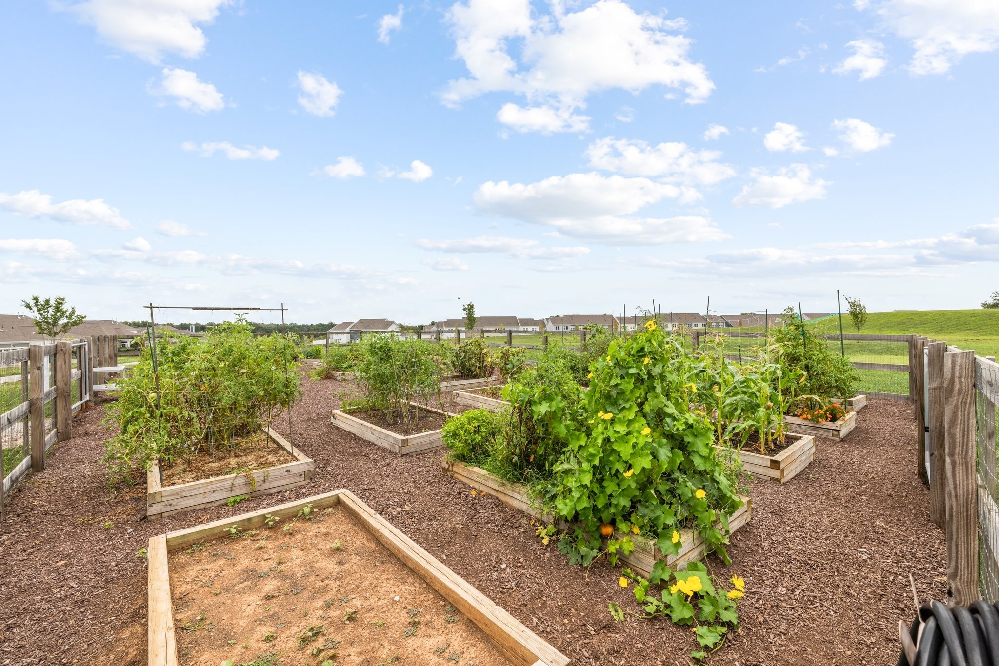 1012 June Wilde Ridge Spring Hill, TN 37174 - Photo 44 of 49 a view of a garden