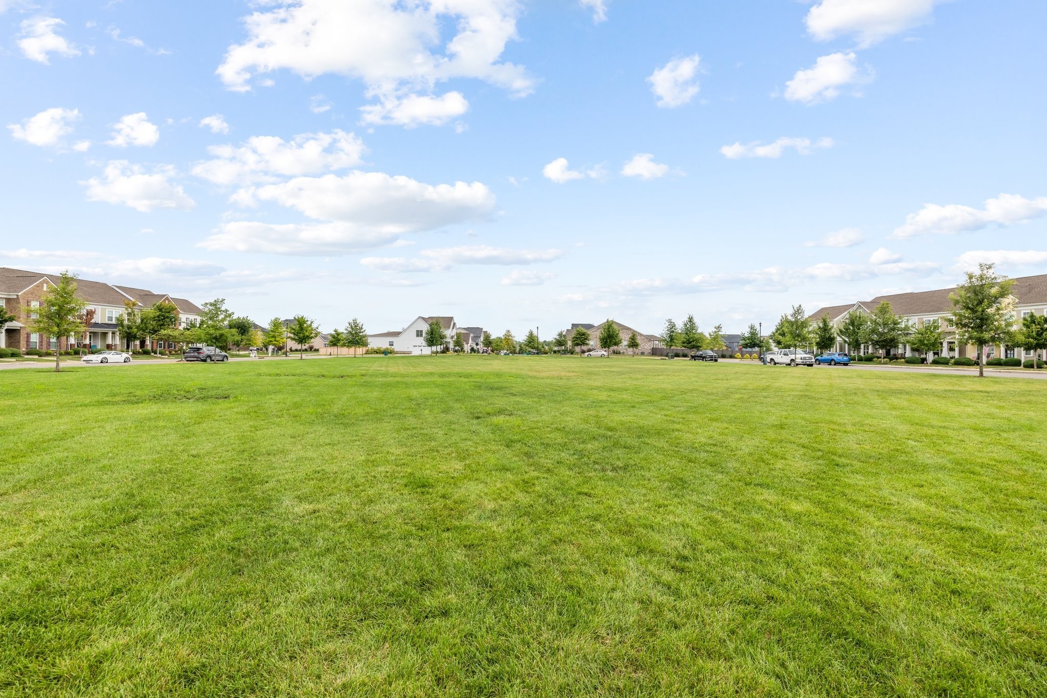 1012 June Wilde Ridge Spring Hill, TN 37174 - Photo 48 of 49 a view of a green field with lots of green space