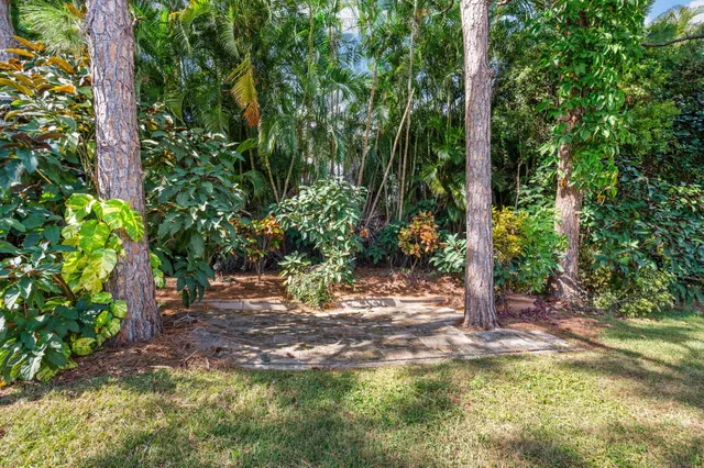 a view of a backyard with a tree