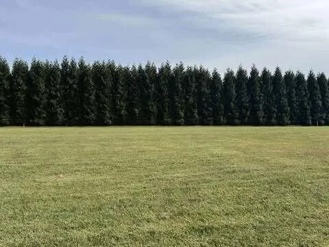 a white house with a yard and trees in the background
