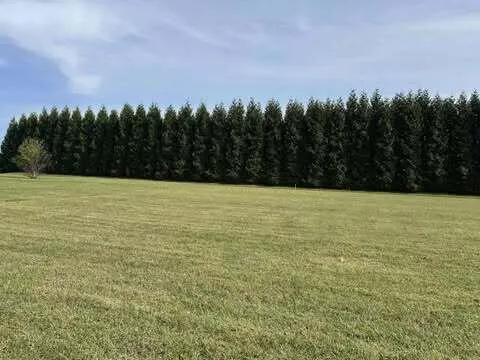 a view of basketball court