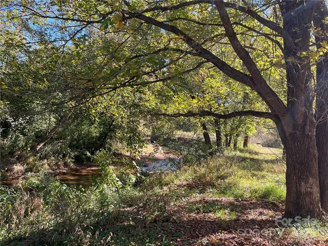 a big yard with lots of green space