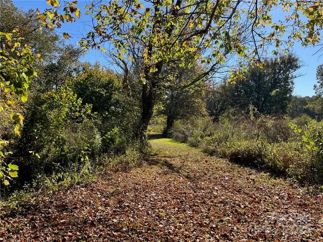 a view of a yard with plants and tree