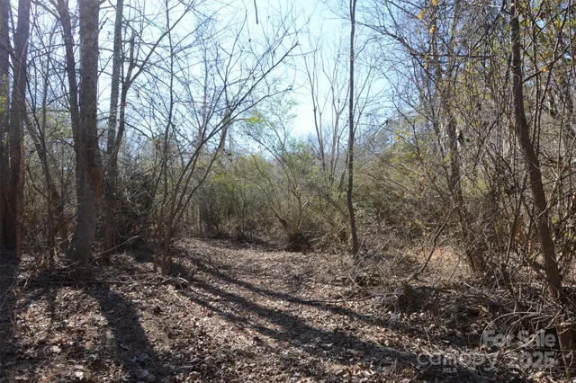 a view of a yard with large trees