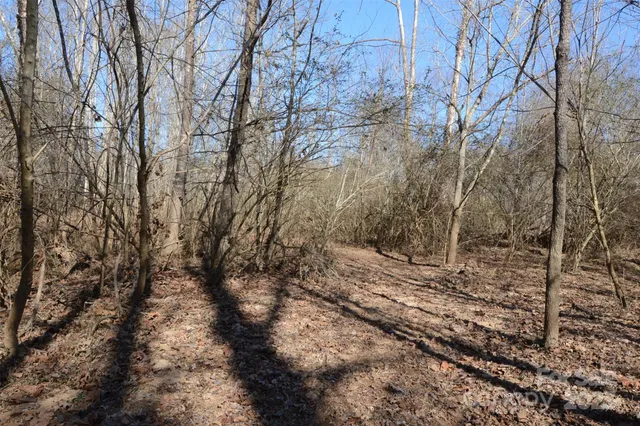 a view of a yard with trees in the background