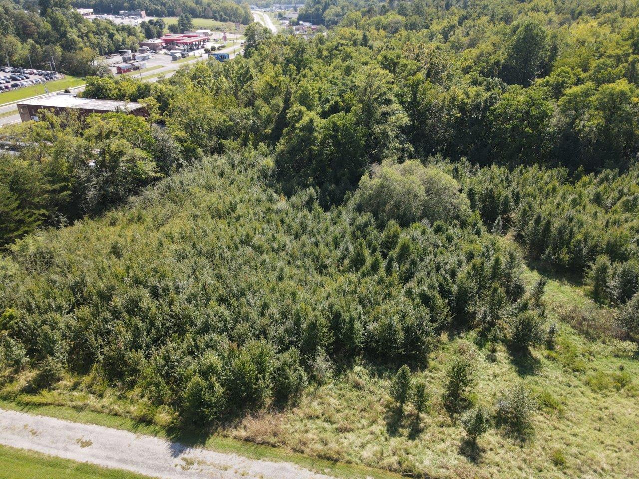 0 Peters Creek Road Northwest Roanoke, VA 24019 - Photo 1 of 8 a view of a forest with a tree