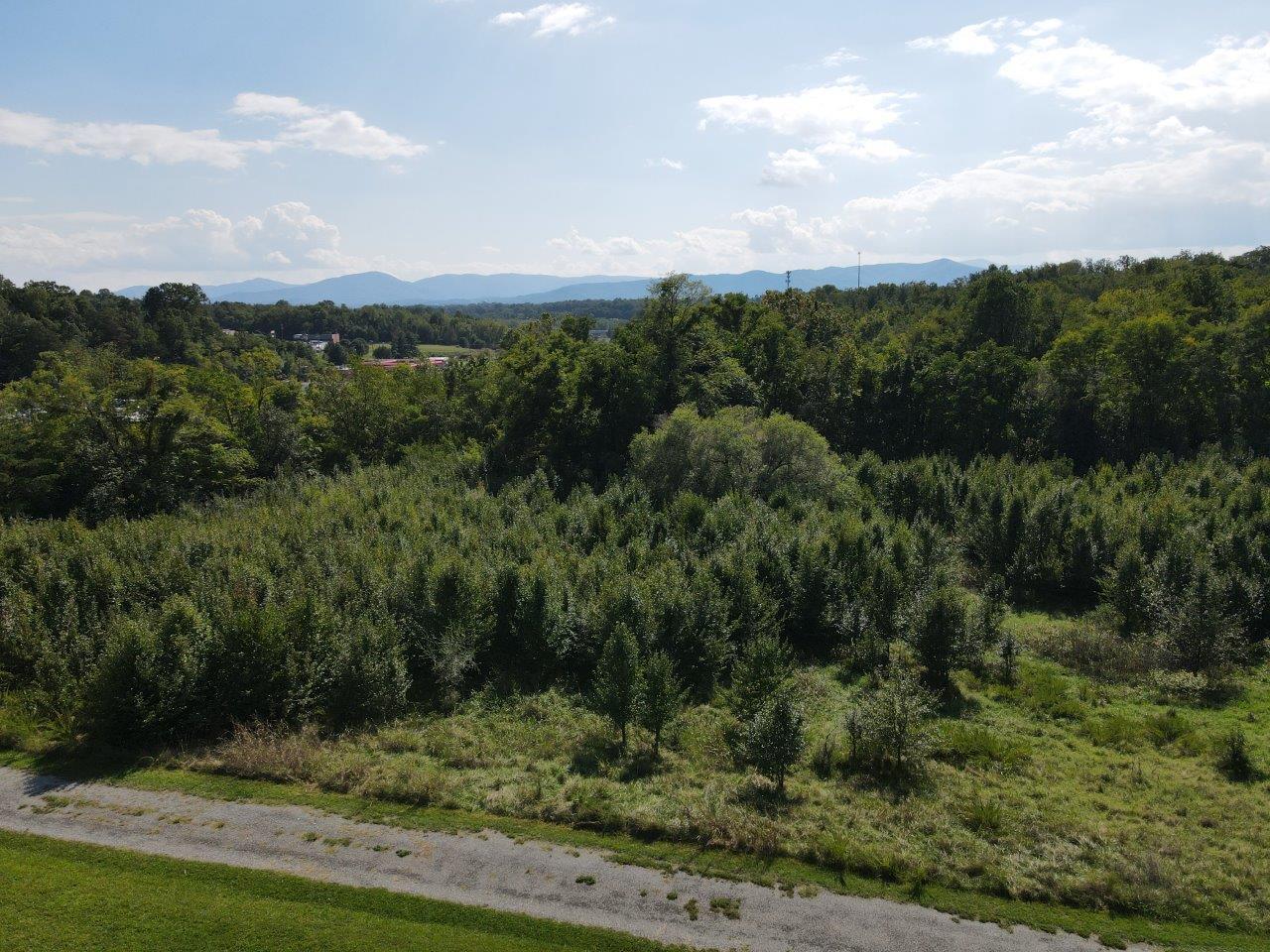 0 Peters Creek Road Northwest Roanoke, VA 24019 - Photo 4 of 8 a view of a city with lush green forest