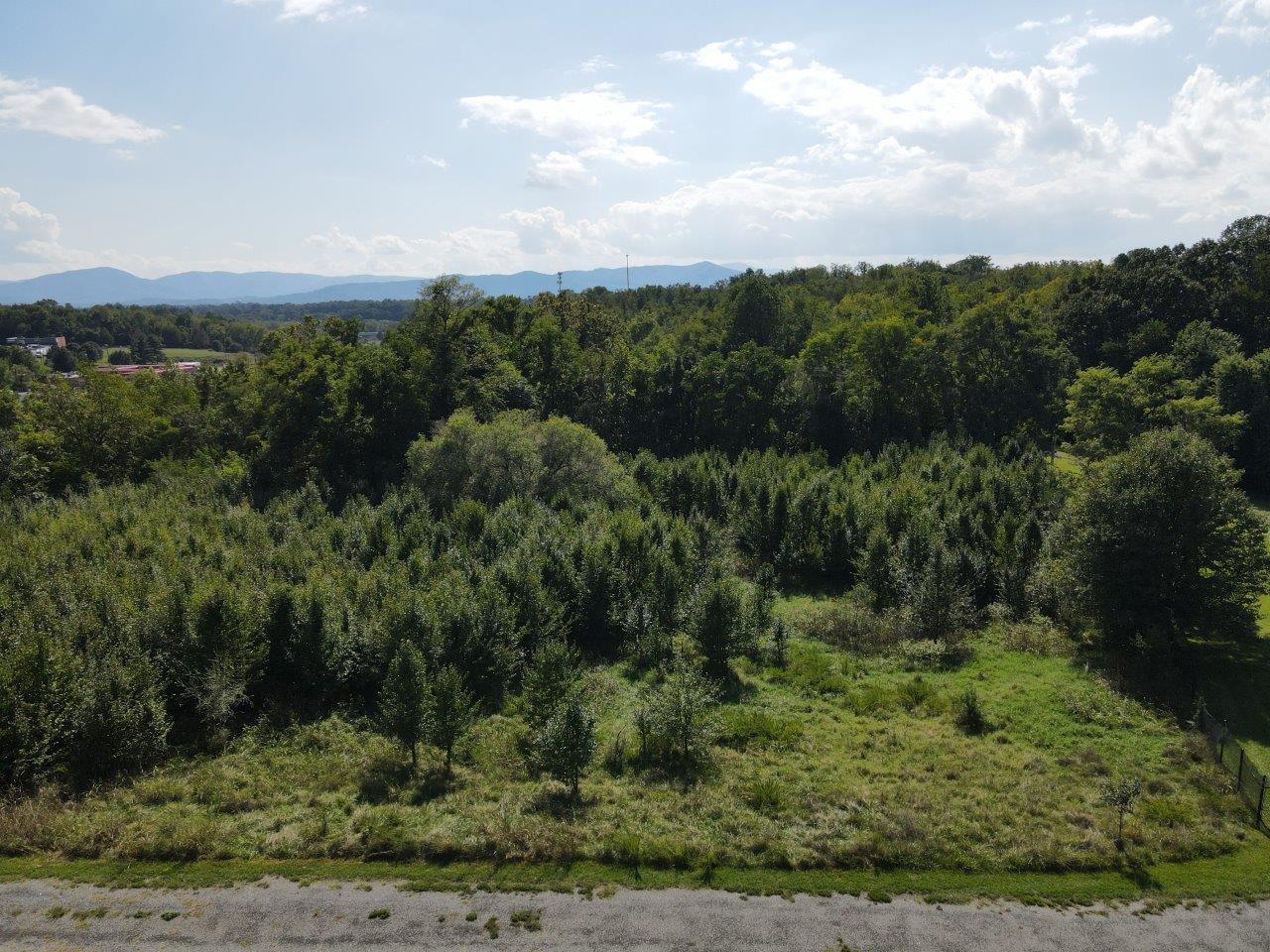 0 Peters Creek Road Northwest Roanoke, VA 24019 - Photo 5 of 8 a view of a city with lush green forest