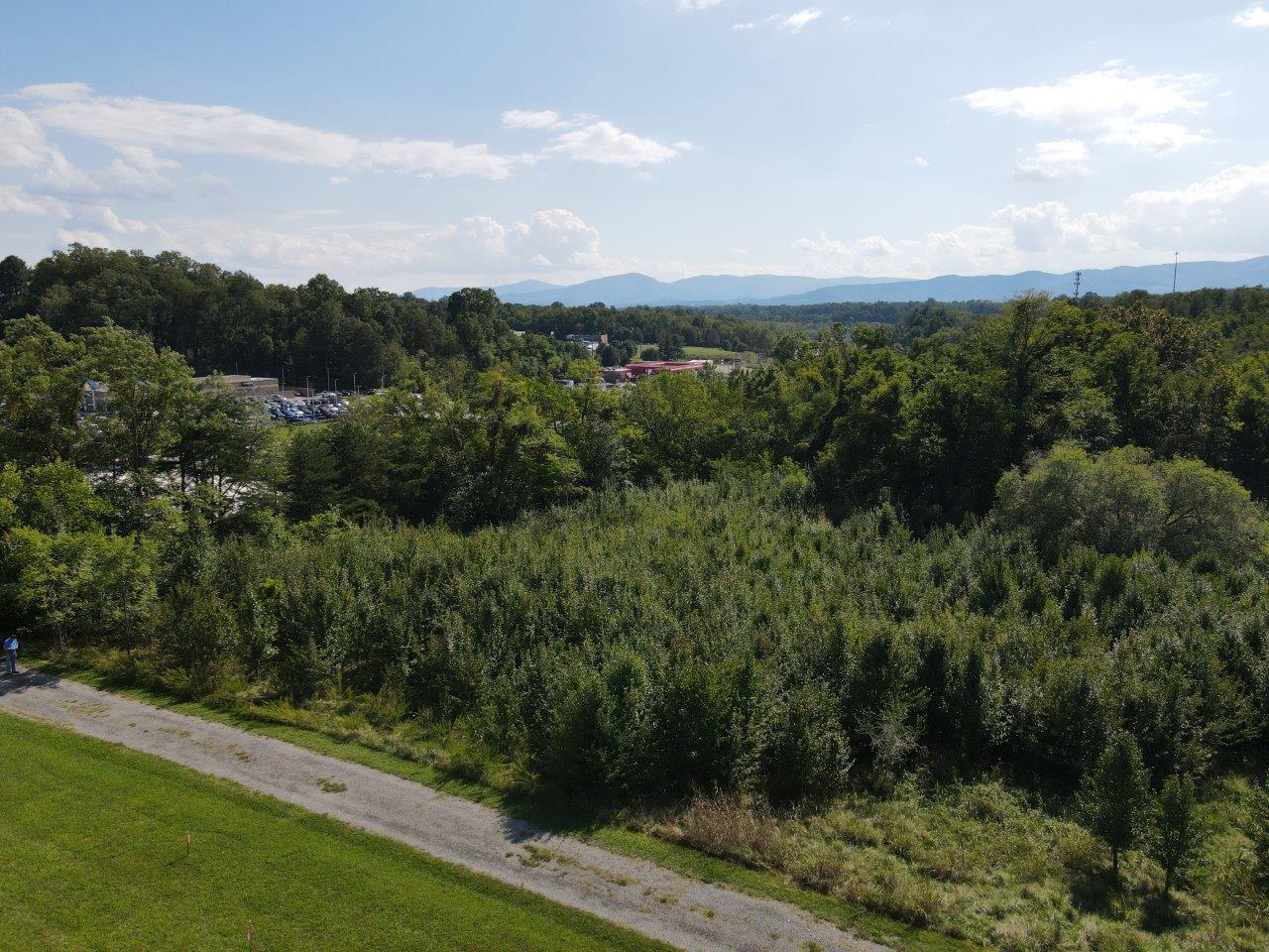 0 Peters Creek Road Northwest Roanoke, VA 24019 - Photo 7 of 8 a view of a city with lush green forest