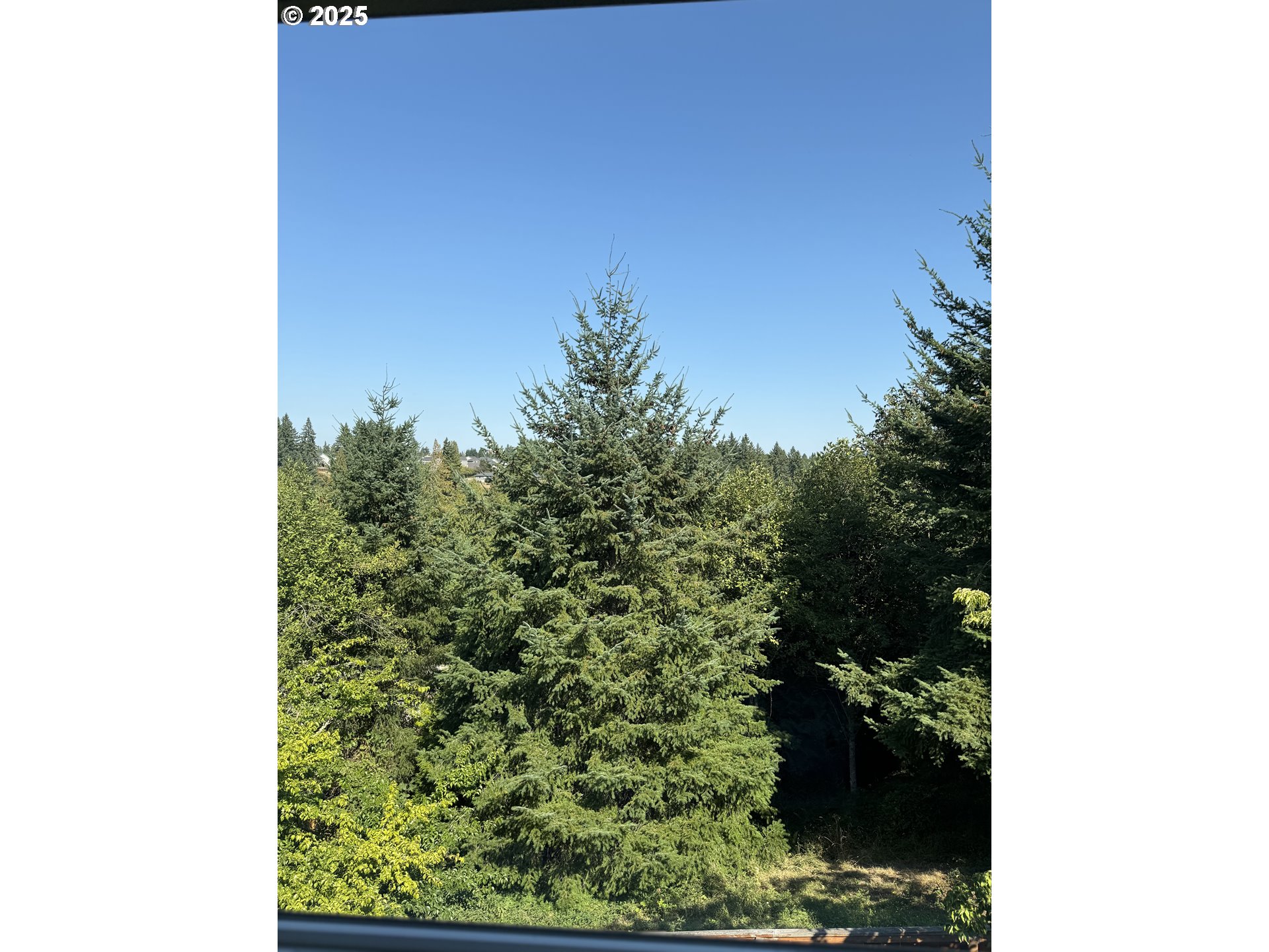 1410 South 21st Place Ridgefield, WA 98642 - Photo 23 of 41 Gallery Image 23