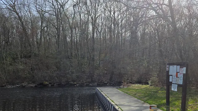 a view of a backyard with pathway