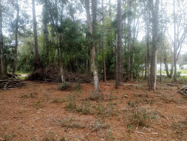 a view of outdoor space with trees