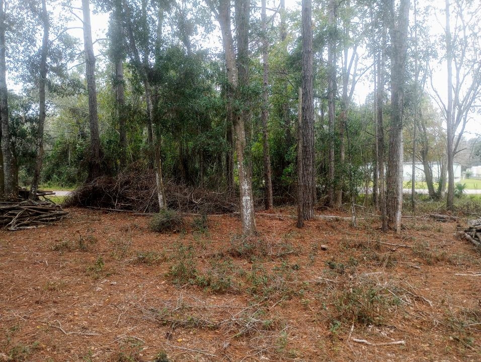 2890 Hilltop Road St. Augustine, FL 32086 - Photo 11 of 11 a view of outdoor space with trees