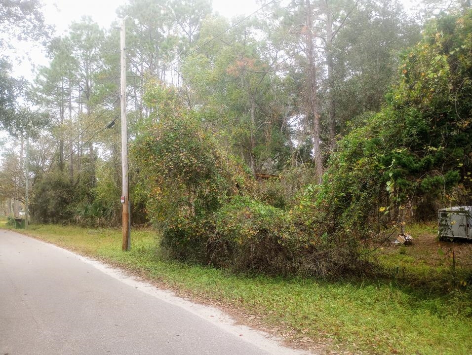 2890 Hilltop Road St. Augustine, FL 32086 - Photo 3 of 11 a view of a yard with swimming pool