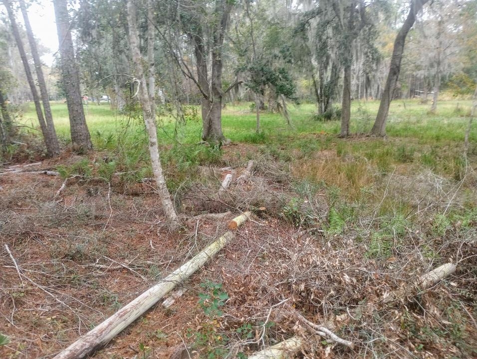 2890 Hilltop Road St. Augustine, FL 32086 - Photo 7 of 11 a view of a yard with trees