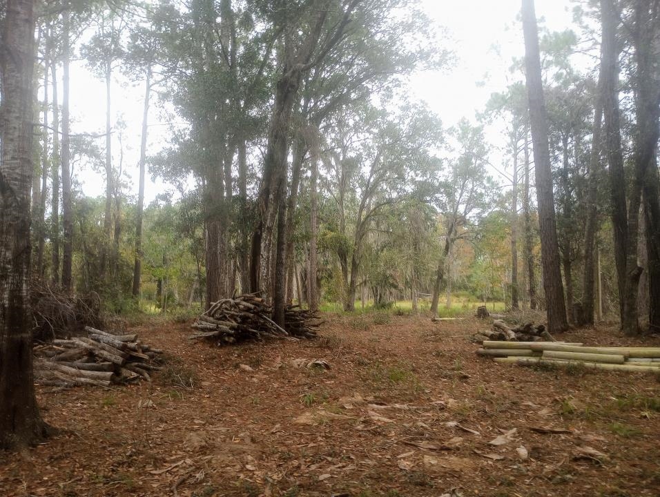 2890 Hilltop Road St. Augustine, FL 32086 - Photo 8 of 11 a view of outdoor space with trees