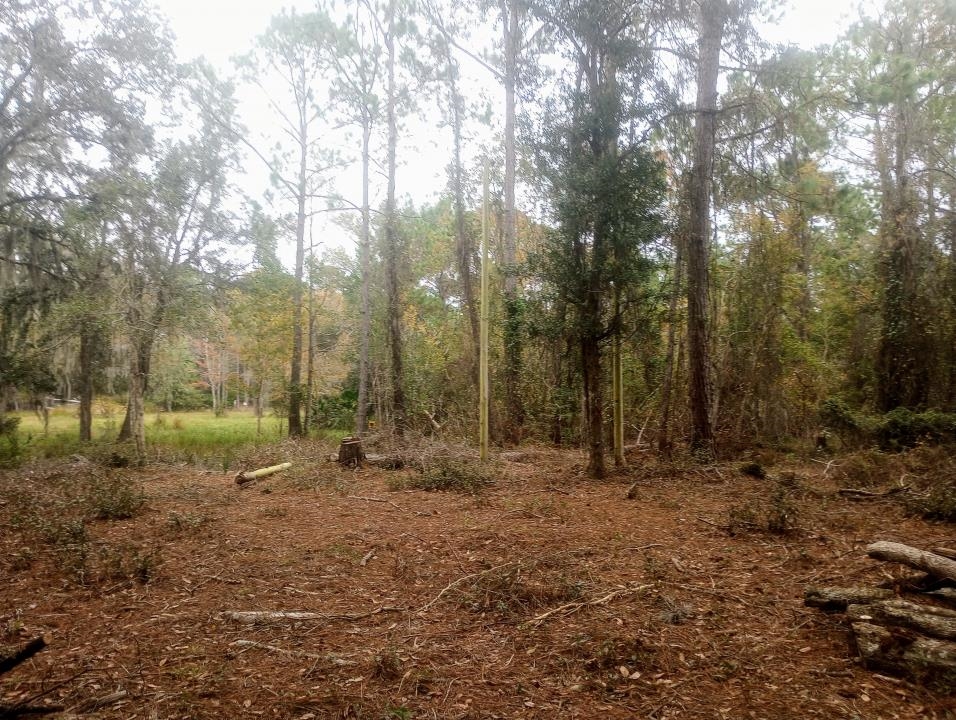 2890 Hilltop Road St. Augustine, FL 32086 - Photo 9 of 11 a view of outdoor space with trees