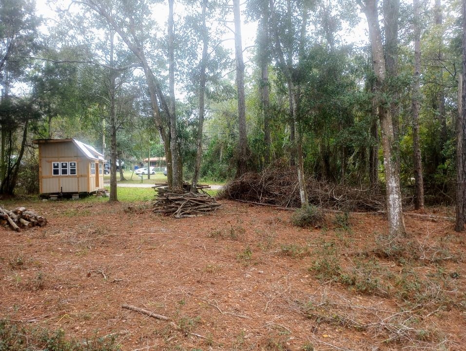2890 Hilltop Road St. Augustine, FL 32086 - Photo 10 of 11 a view of house with trees in the background