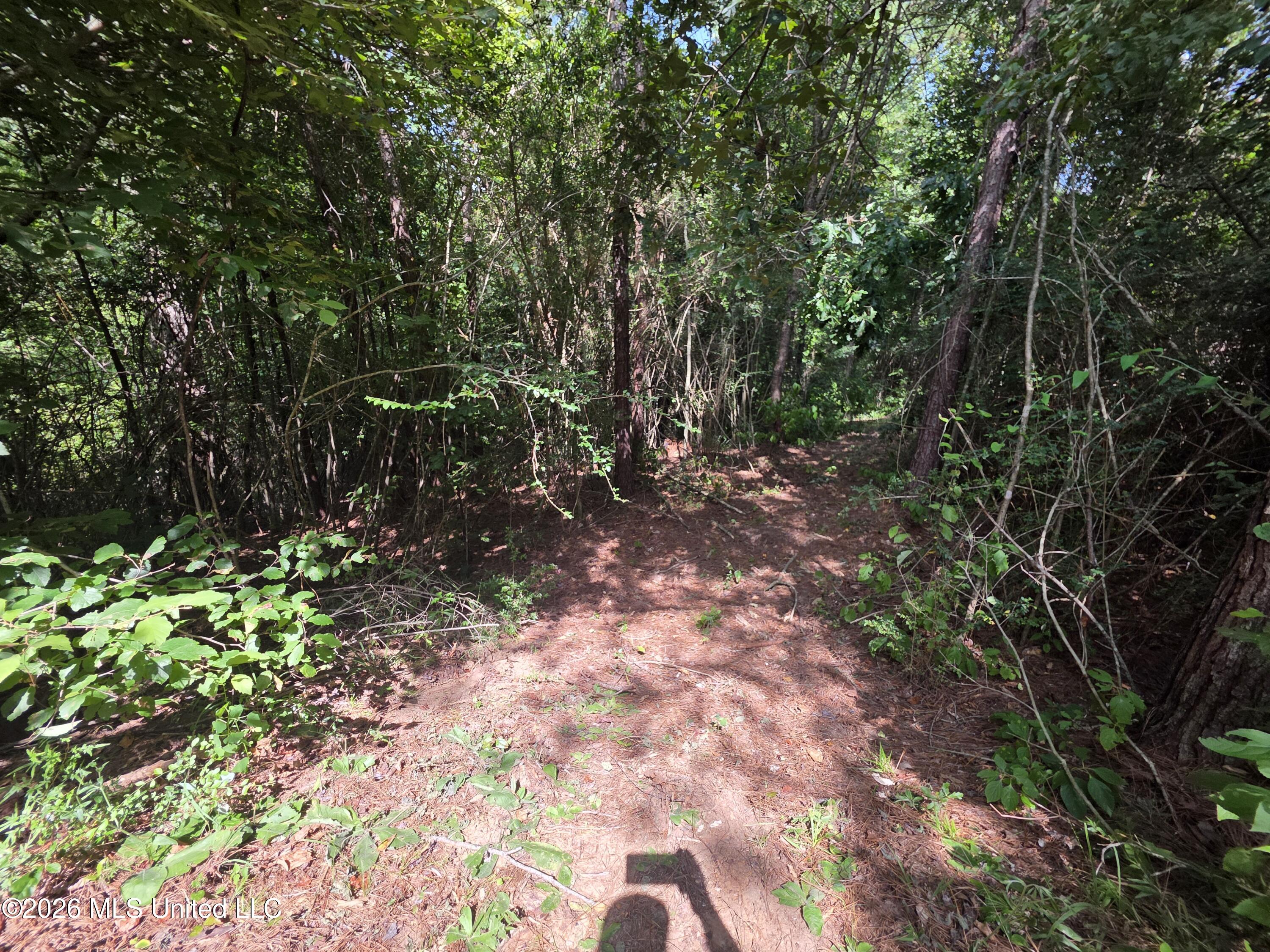 Mt Carmel Road Prentiss, MS 39474 - Photo 37 of 53 37970