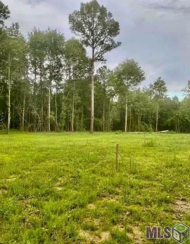 67331 Oil Field Road Kentwood, LA 70444 - Photo 3 of 6 Gallery Image 3