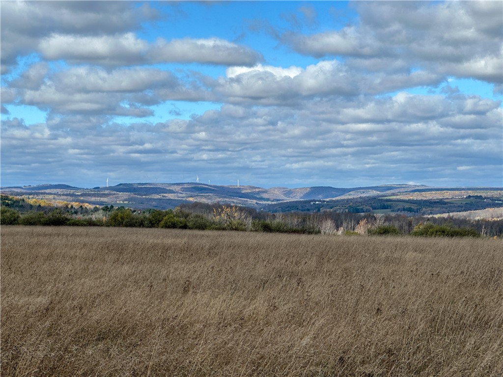 Vl Lot 1 Vl Road Addison, NY 14801 - Photo 3 of 18