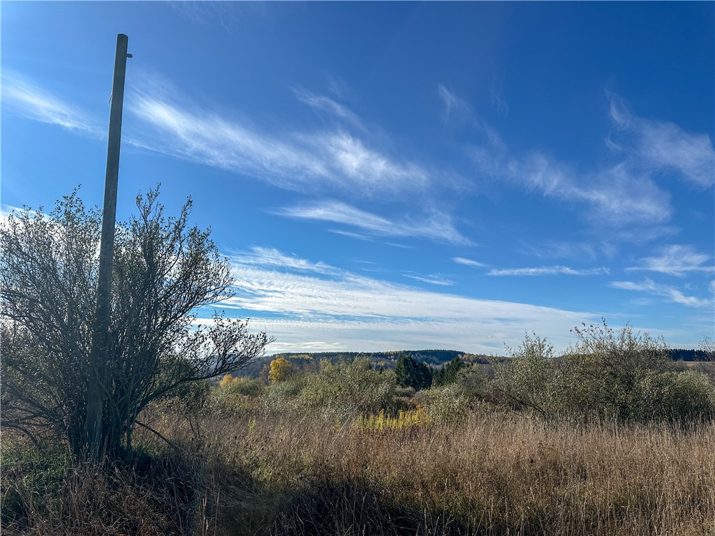 Vl Lot 1 Vl Road Addison, NY 14801 - Photo 4 of 18