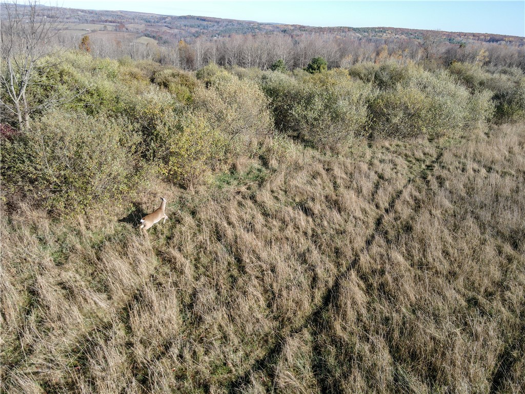 Vl Lot 1 Vl Road Addison, NY 14801 - Photo 9 of 18