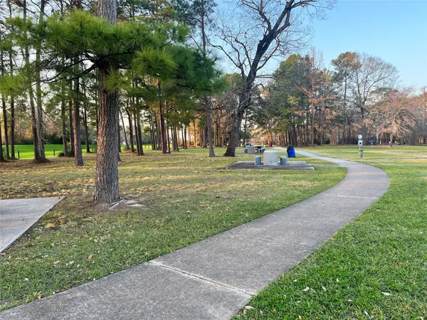 a view of a park with tree s