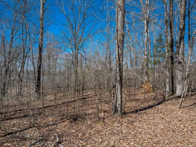 $36,900 | 0 Featherfoot Pkwy Loop, Parsons, TN 38363