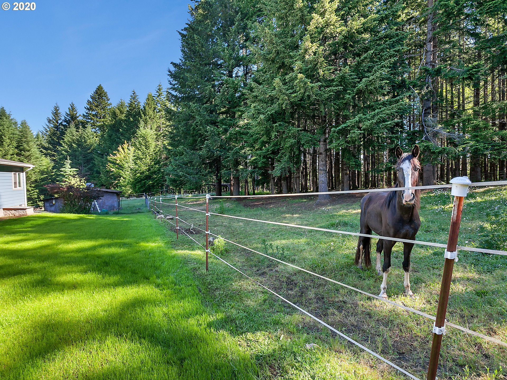 42479 Southeast Buzz Road Estacada, OR 97023 - Photo 31 of 32 Gallery Image 31