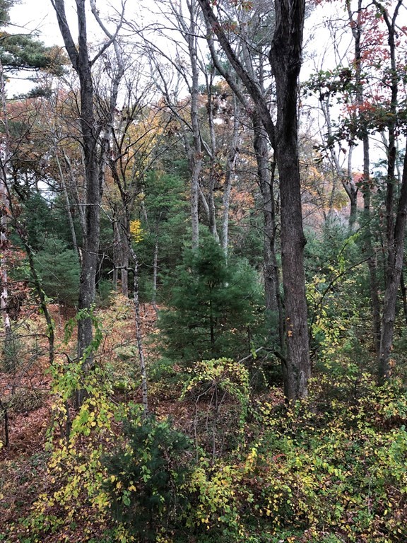 23 Saddleback Hill Road Bellingham, MA 02019 - Photo 17 of 17 Gallery Image 17