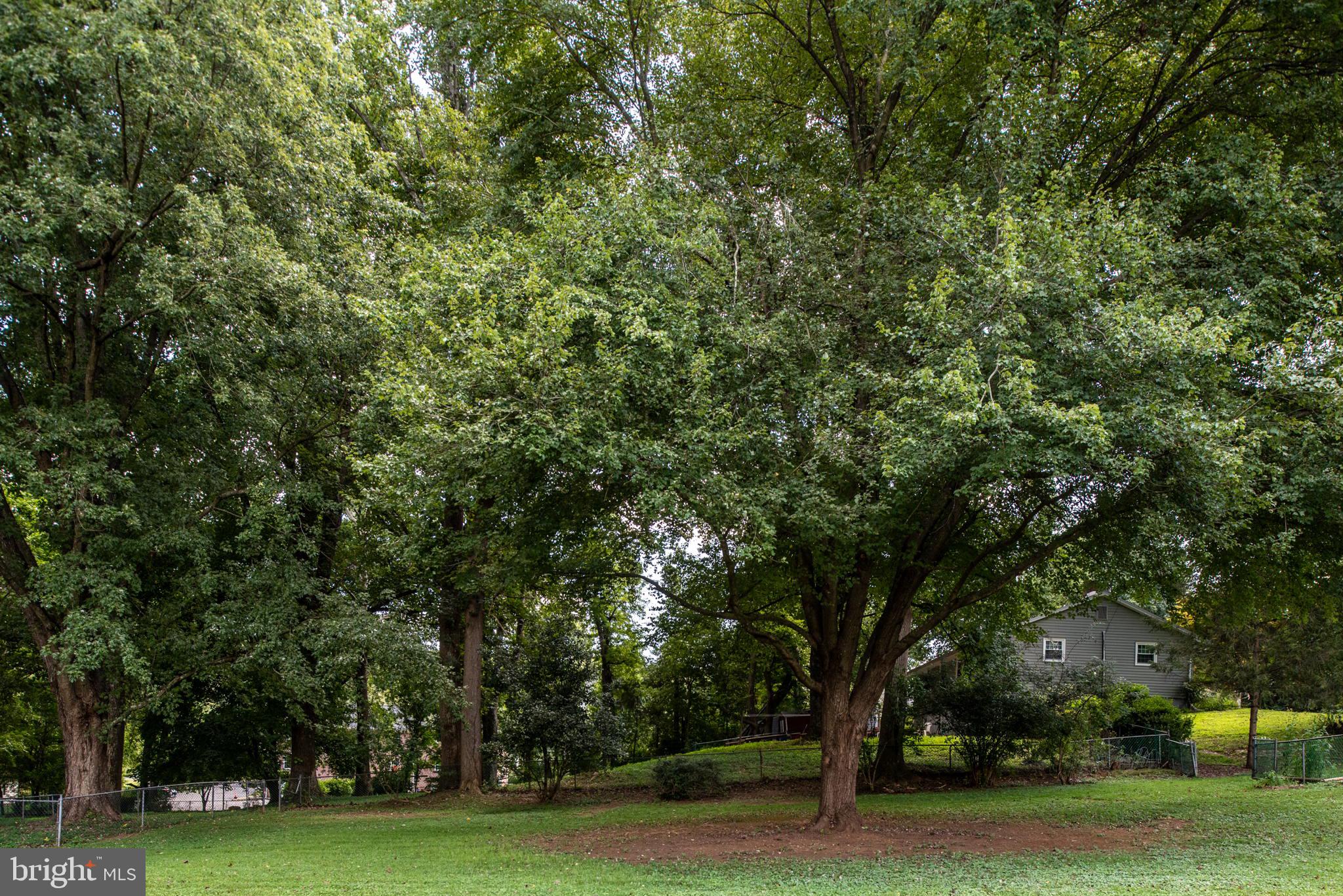 6499 Briggs Road Warrenton, VA 20187 - Photo 40 of 53