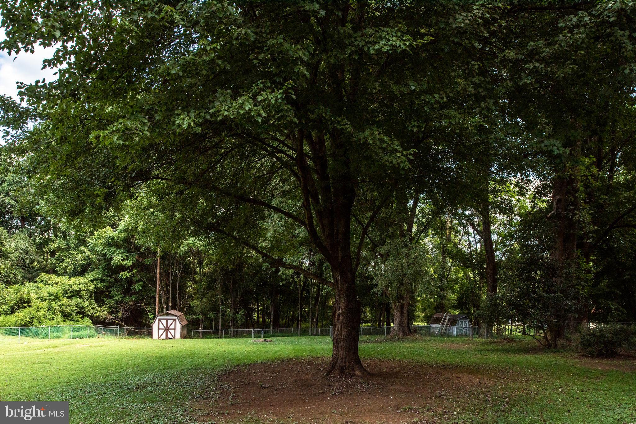 6499 Briggs Road Warrenton, VA 20187 - Photo 42 of 53