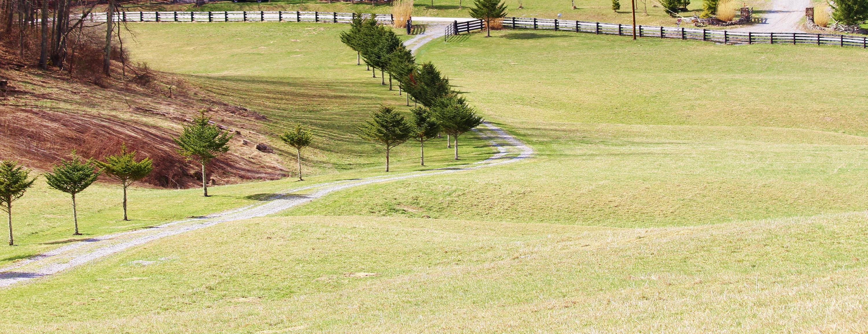 9102 Dry Branch Road Valley Head, WV 26294 - Photo 29 of 83 Gallery Image 29