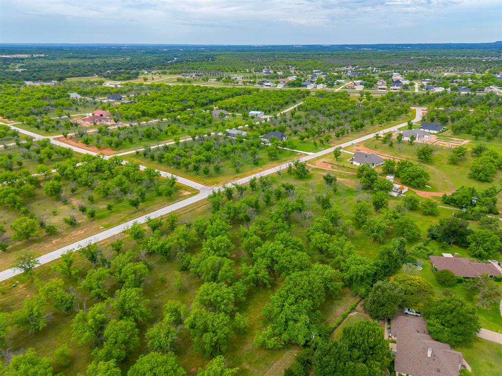 1000 West Landings Road North Granbury, TX 76049 - Photo 9 of 20