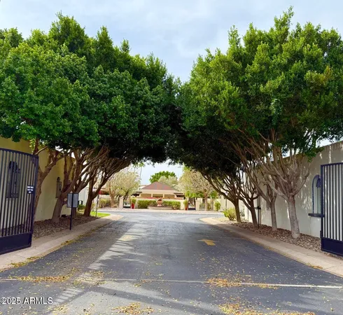 a view of a flower garden with a small yard