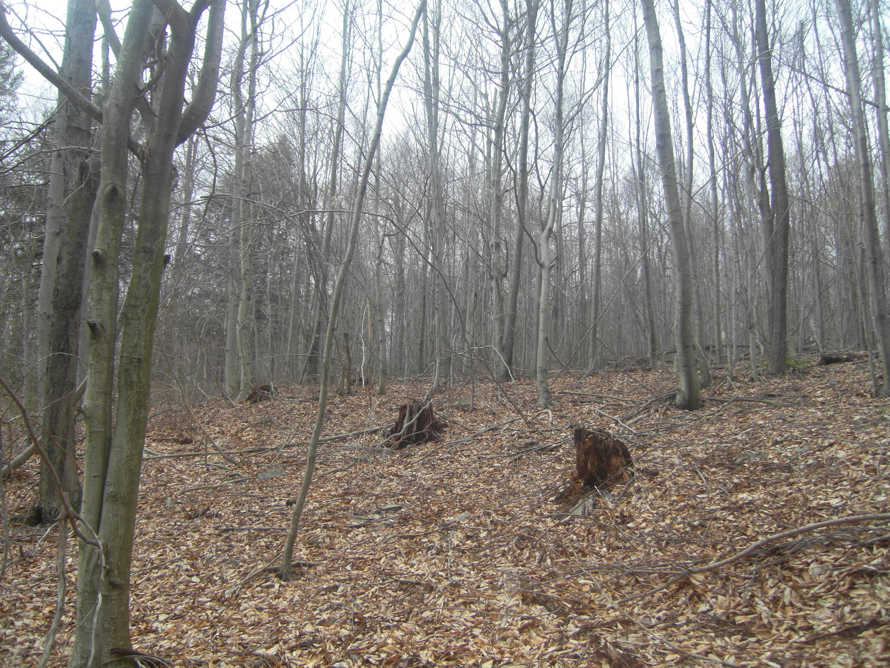 0 Hubtown Road, Unit LOT 6 Dushore, PA 18614 - Photo 4 of 5 SDC13976