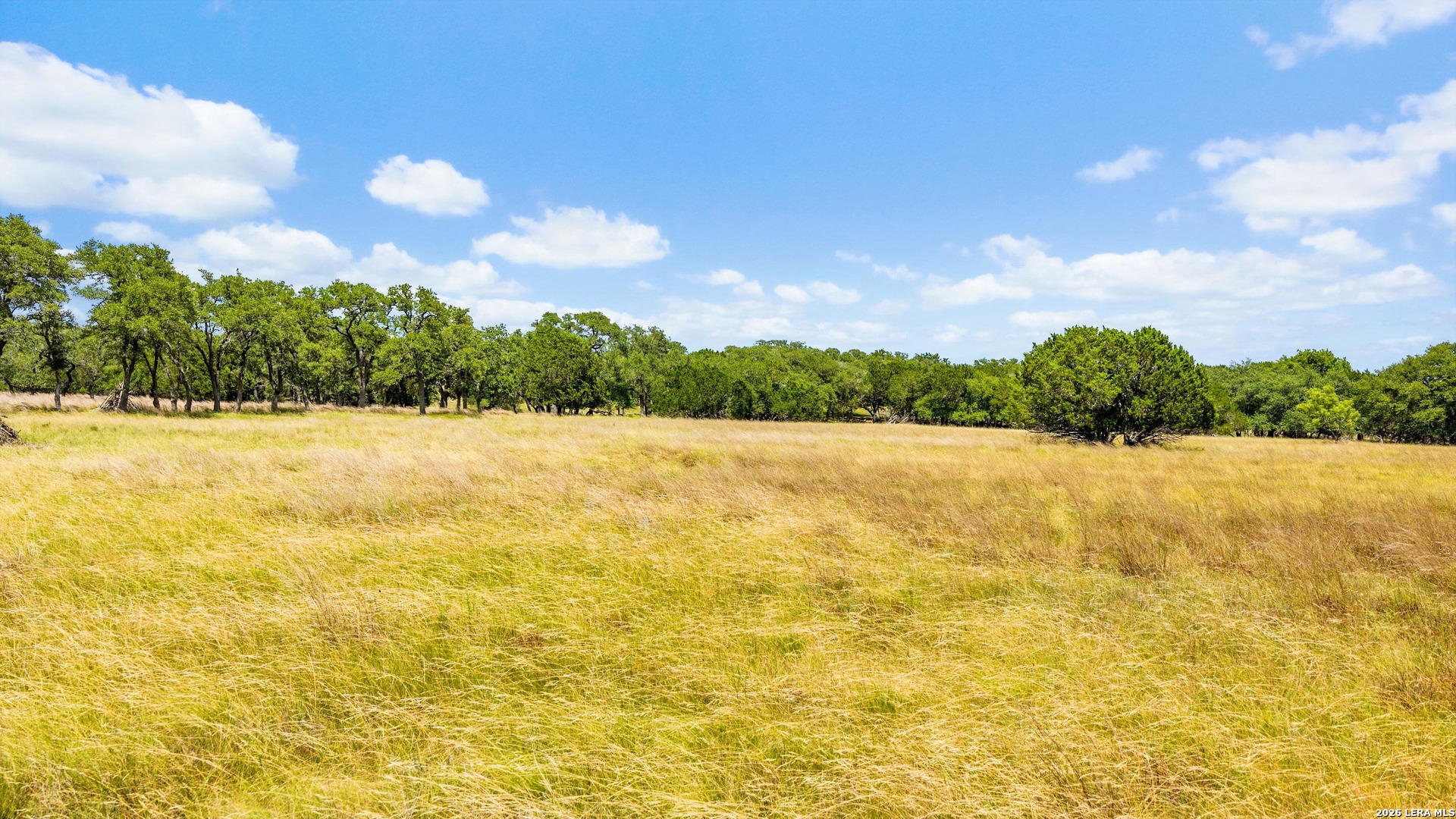 271-173 Big Creek Road Blanco, TX 78606 - Photo 72 of 75