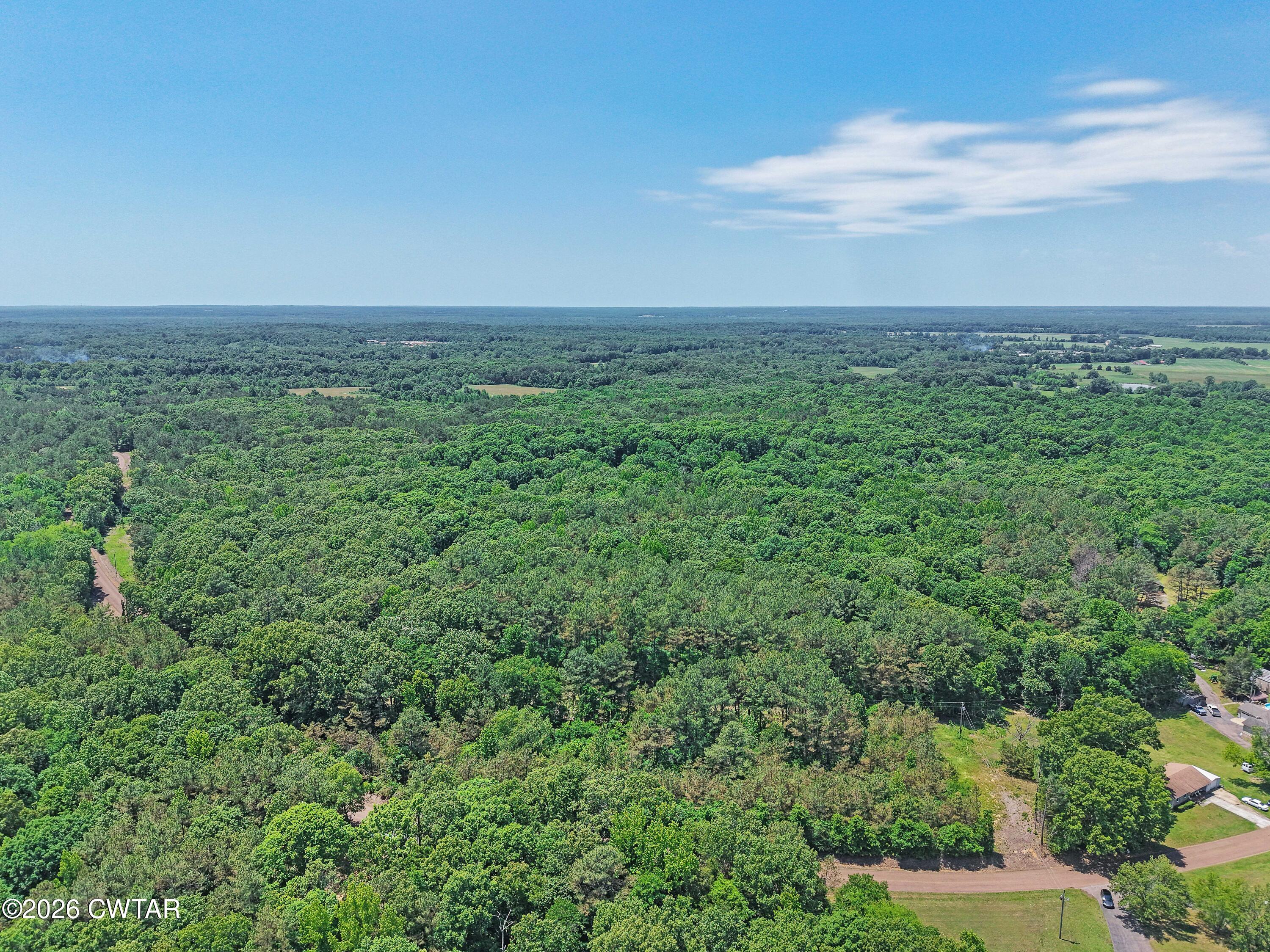 0 Teague Road Toone, TN 38381 - Photo 17 of 25 DJI_20260513125800_0187_D