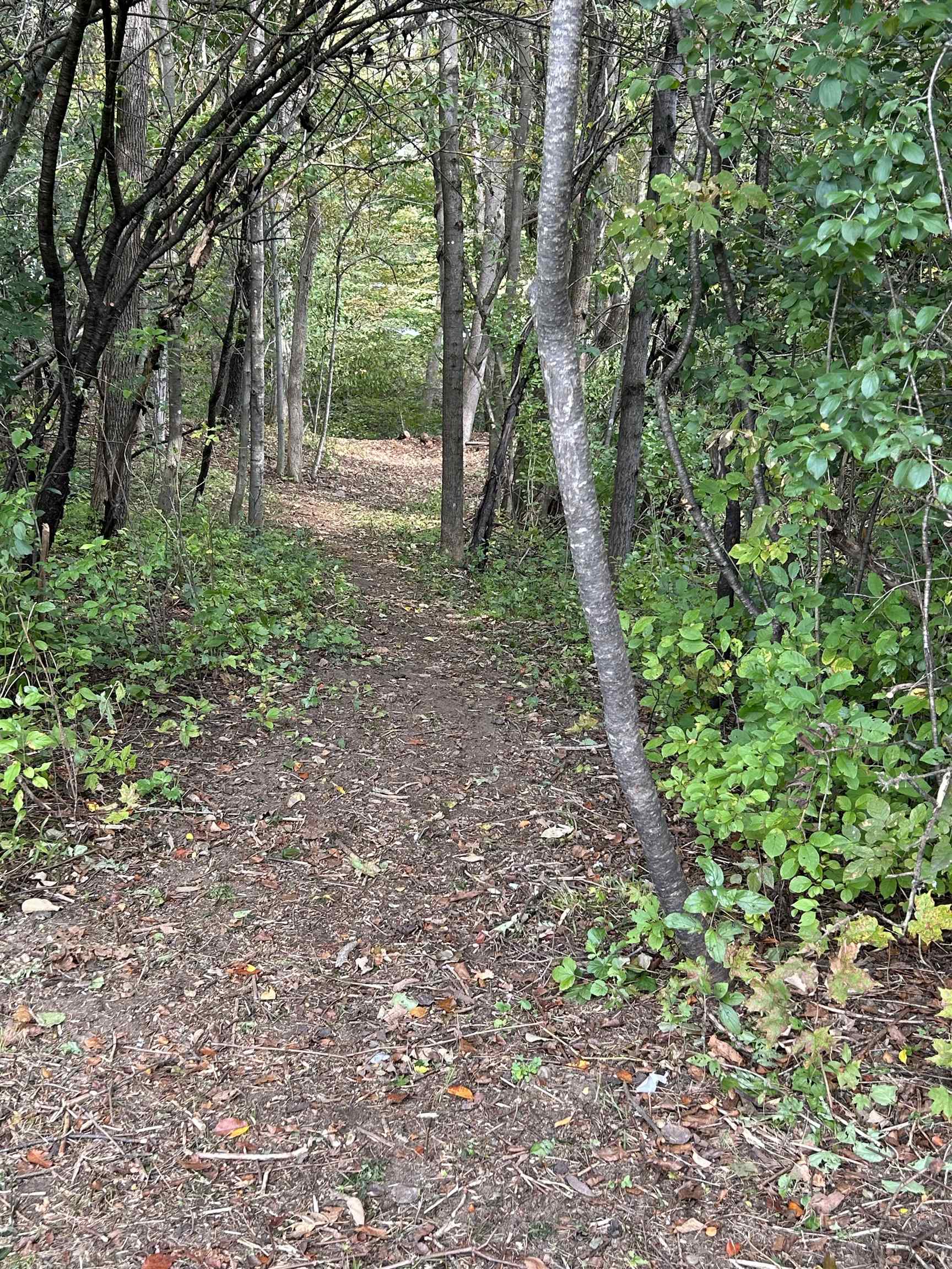 11 Brigham Circle Randolph, VT 05060 - Photo 12 of 17