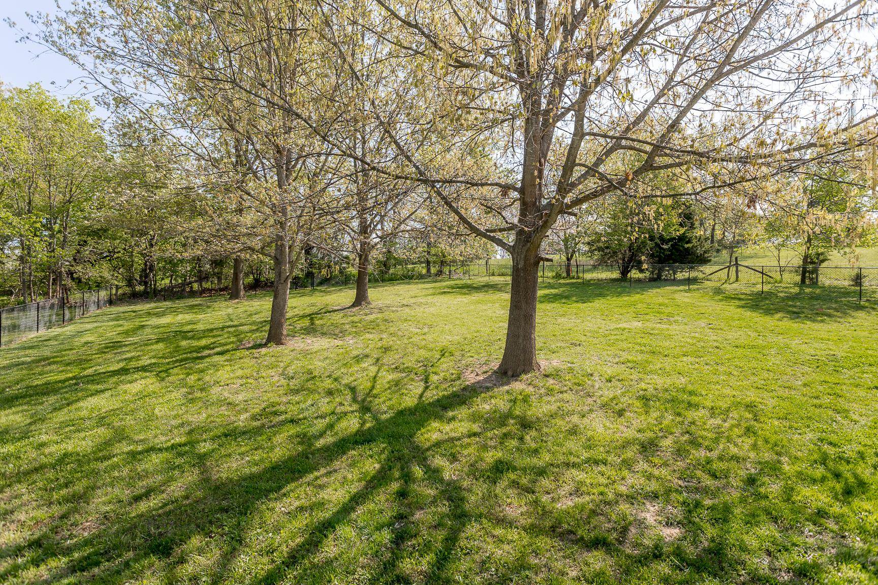 772 Patterson Mill Road Grottoes, VA 24441 - Photo 71 of 75 a view of a yard with a tree