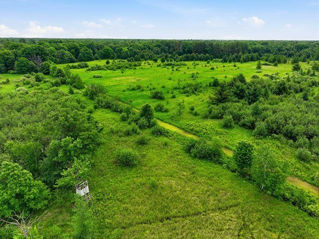 0 Holst Road Pittsville, WI 54466 - Photo 6 of 18