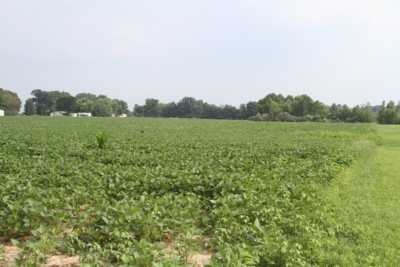 - North Reed Station Road Carbondale, IL 62901 - Photo 5 of 6
