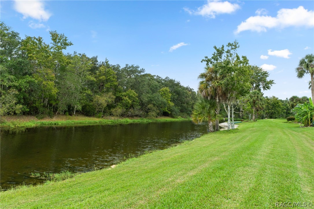242 North Golf Harbor Path Inverness, FL 34450 - Photo 42 of 59 Gallery Image 42