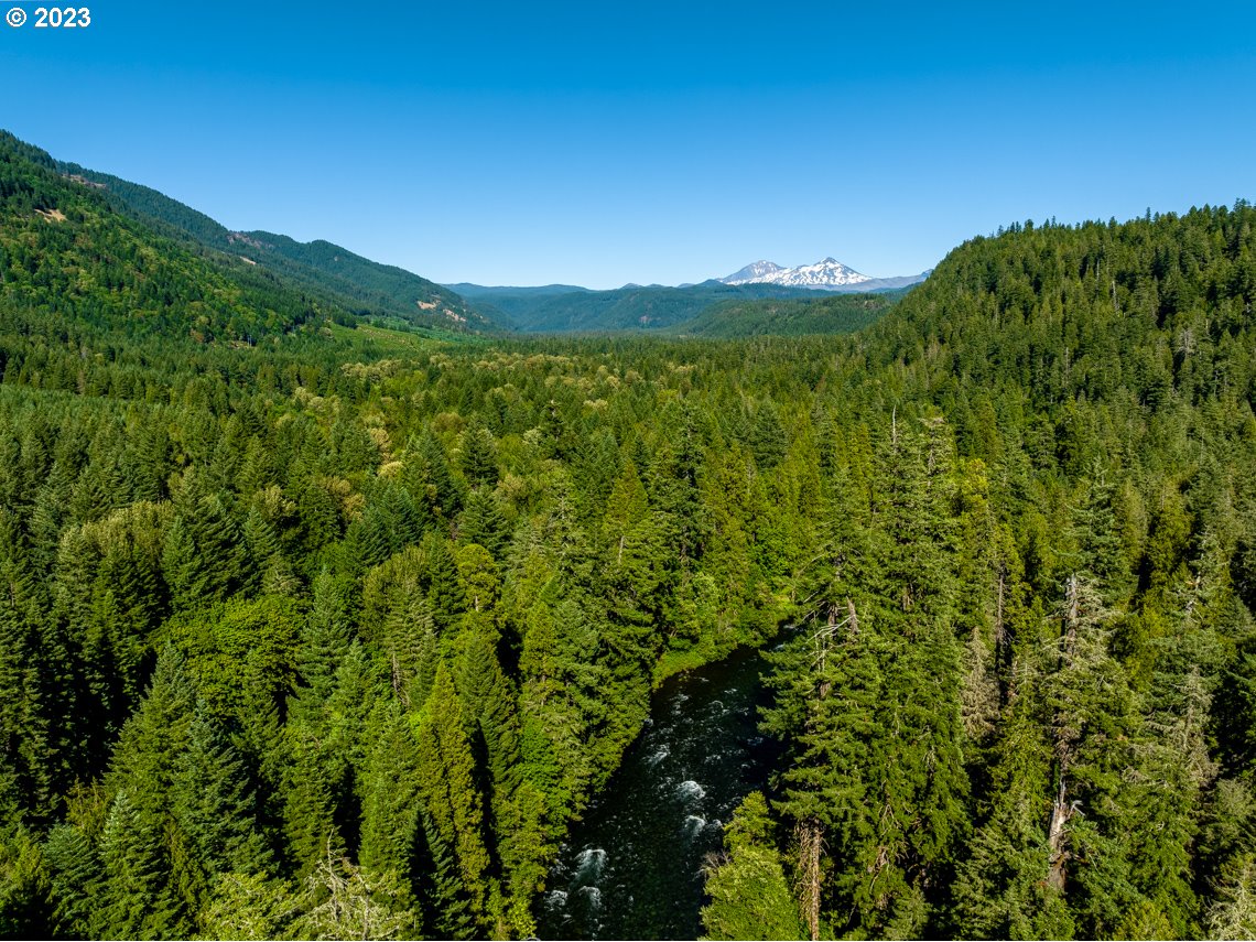 56851 North Bank Road Blue River, OR 97413 - Photo 40 of 48 Gallery Image 40