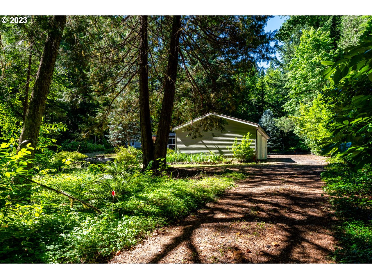 56851 North Bank Road Blue River, OR 97413 - Photo 8 of 48 Gallery Image 8